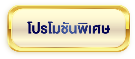 promotionAsset 4@2x
